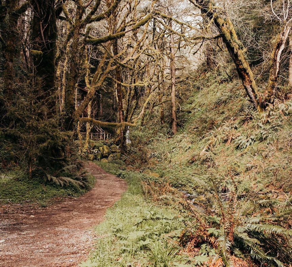 Taylor Creek Lodge Gold Beach Eksteriør bilde