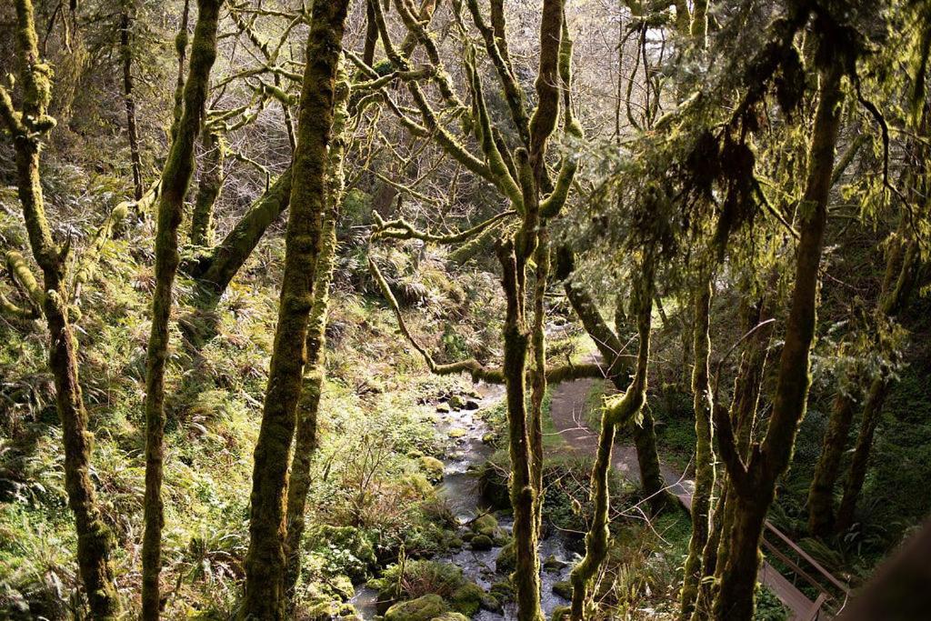 Taylor Creek Lodge Gold Beach Eksteriør bilde